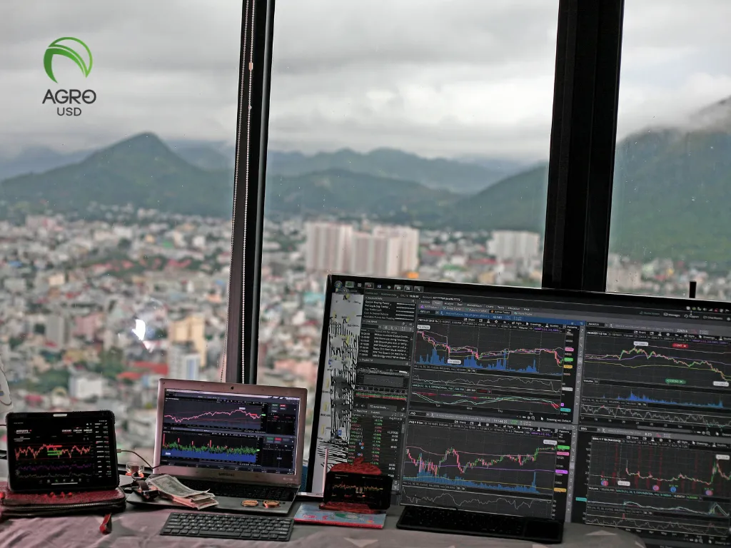 AgroUSD_Impulsa_la_Inclusin_Financiera_con_Tecnologa_Blockchain