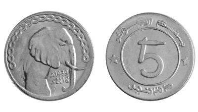 What is a 10 Algerian Dinar coin?