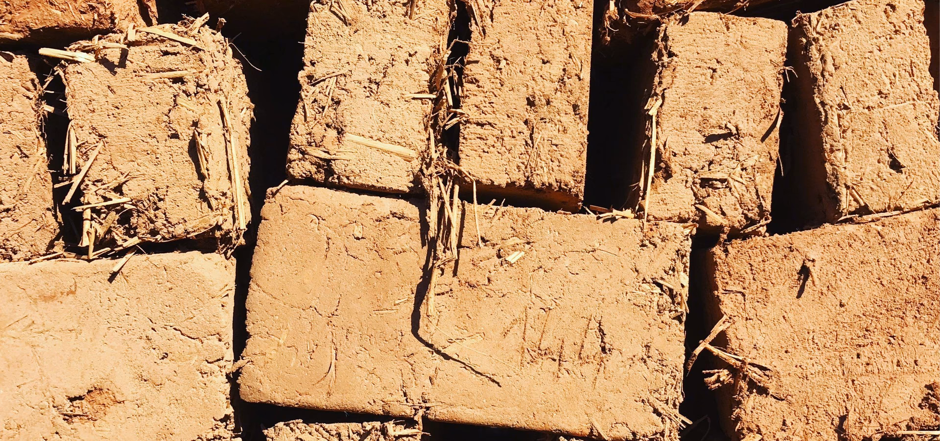 ¿Quién inventó los ladrillos ecológicos?