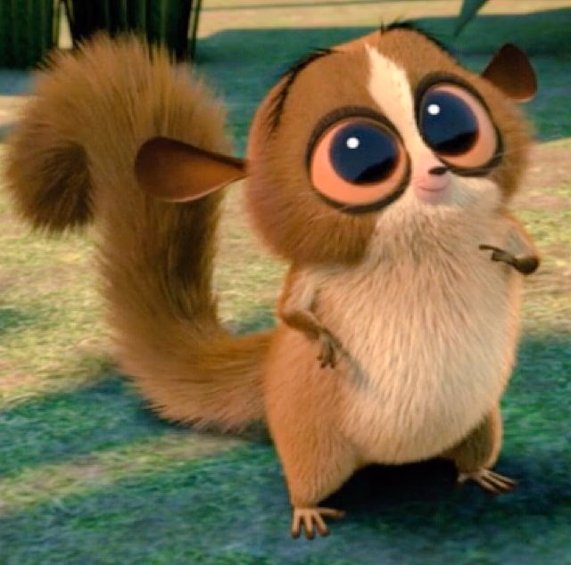 ¿Quién es la ardilla de Madagascar?