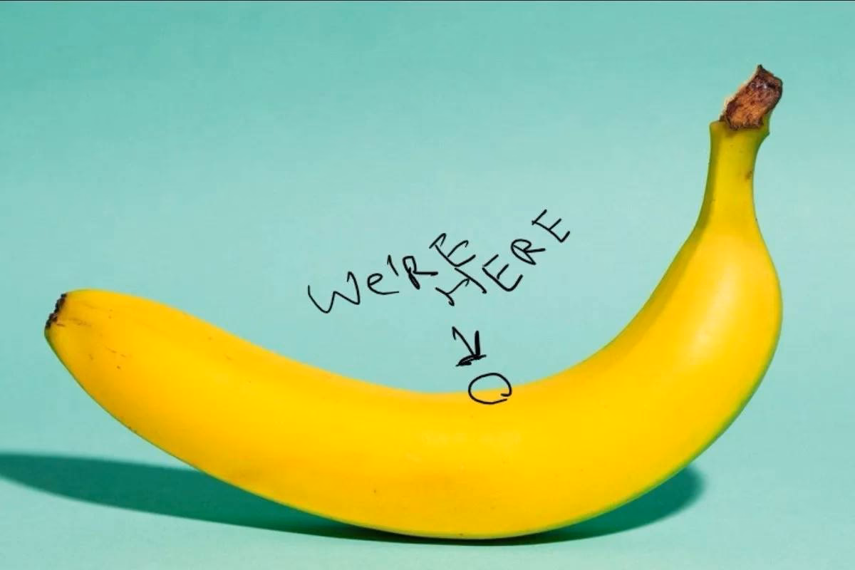 ¿Cuál es el precio actual de 1 BANANA For Scale?