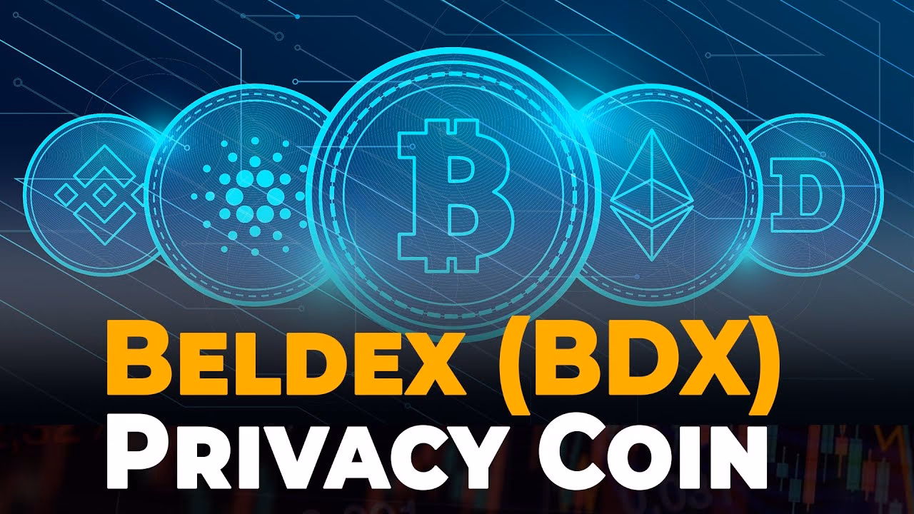 What is the future of the Beldex coin?