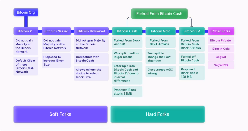 ¿Cuántas bifurcaciones tiene Bitcoin?