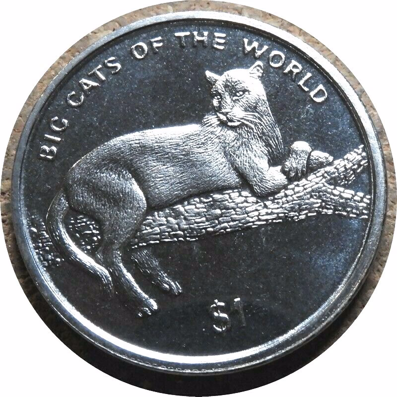 What is the number one big cat?