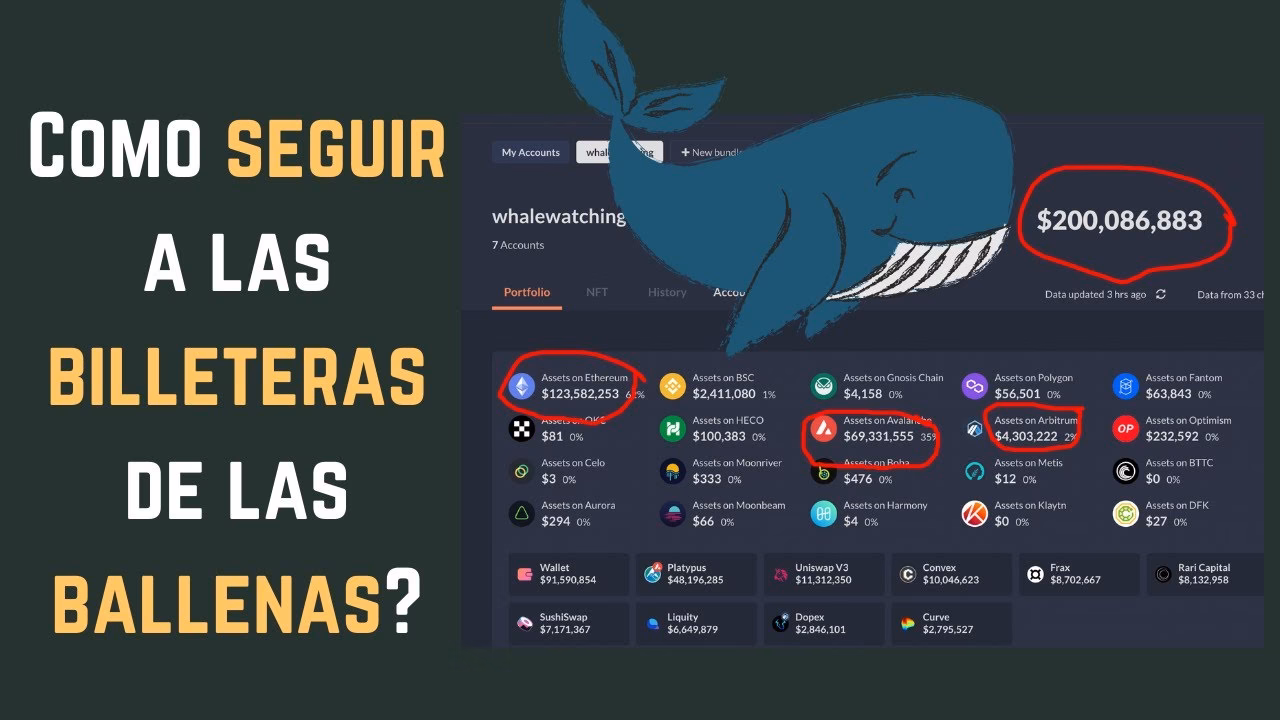 ¿Cuánto vale una ballena cripto?