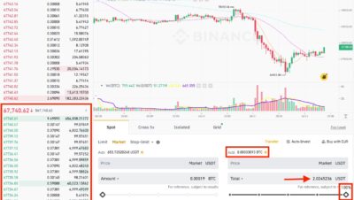 ¿Cuál es el límite de Bitcoin en Binance?