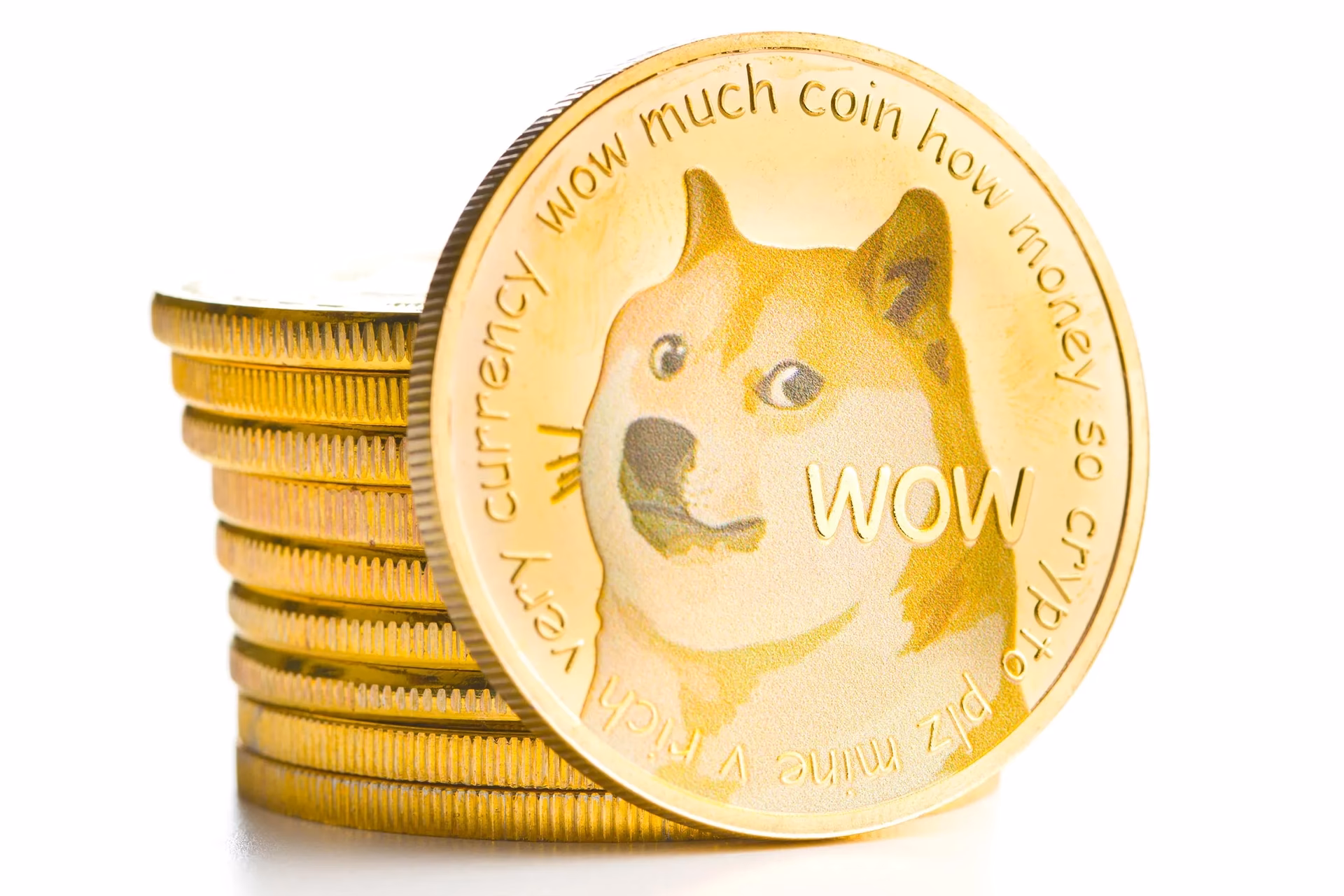 Which is better, Bitcoin or Dogecoin?