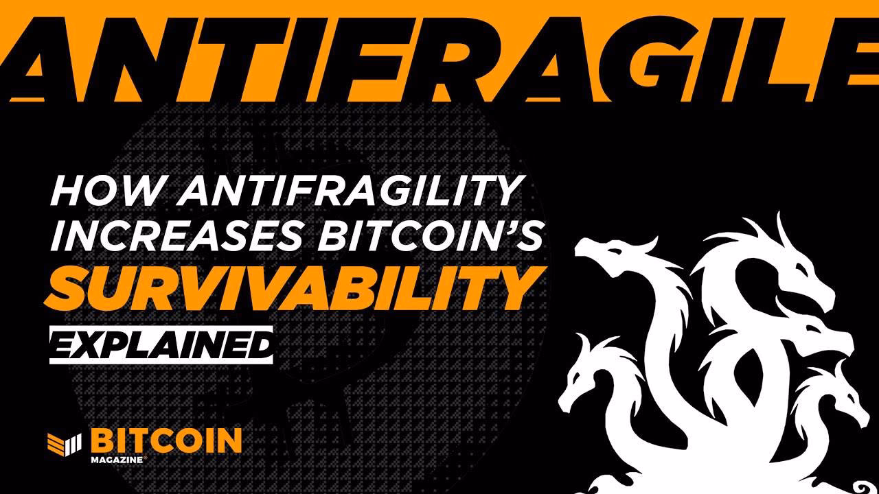 Is Bitcoin Antifragile?