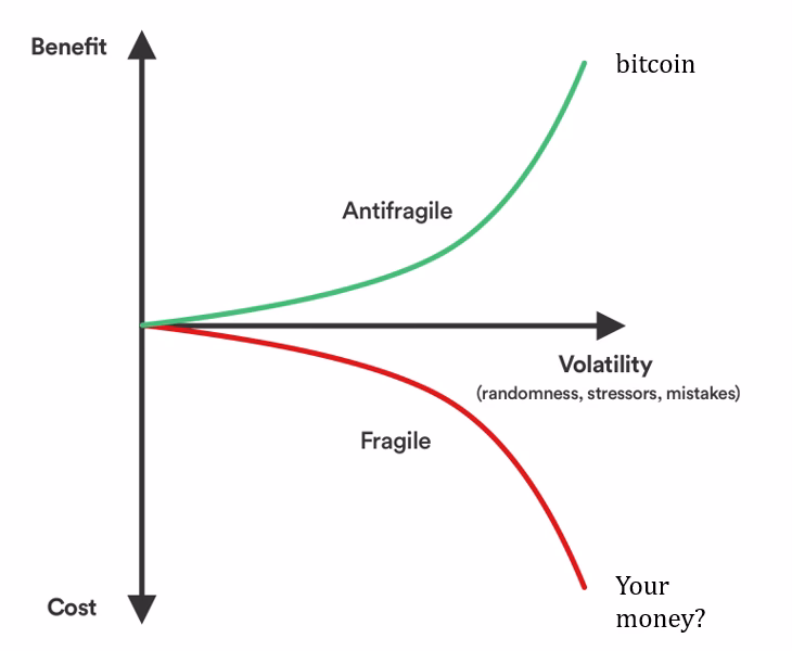 Is Bitcoin Antifragile?