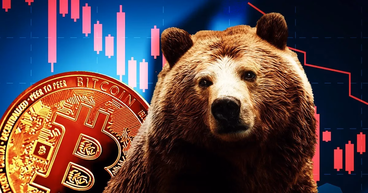 What is a Bitcoin bear?