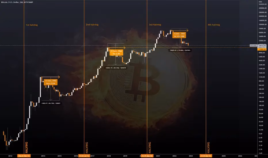 What is the Bitcoin bottom?