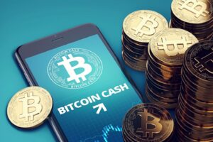 How much is a dollar to a Bitcoin Cash?