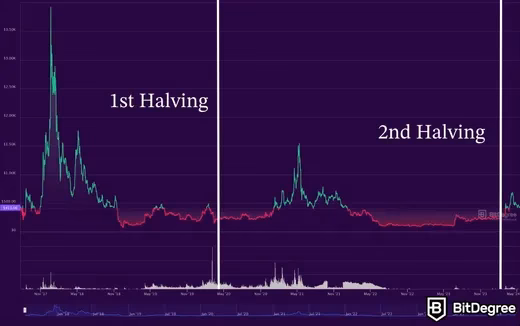 Does Bitcoin Cash have halving?