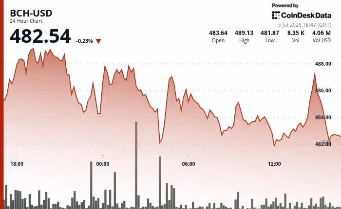 Why is Bitcoin Cash going up?