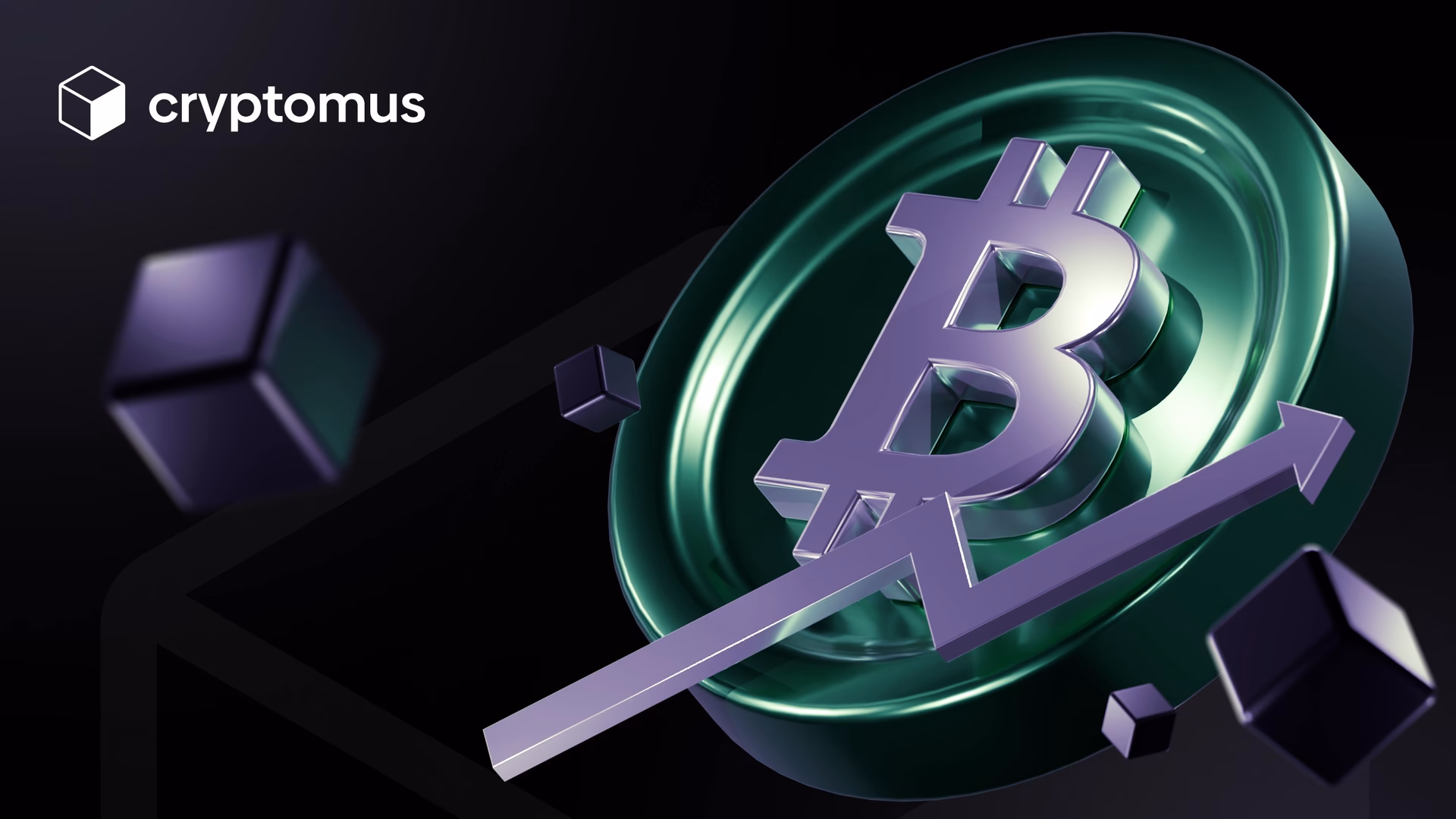 Bch halving ne zaman?