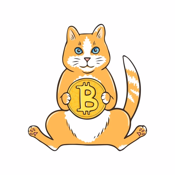 What is Bitcoin cat?