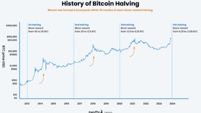 Will Bitcoin prices drop after halving?