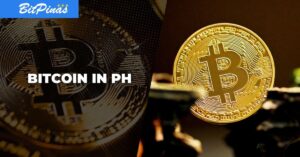 Who owns Bitcoin in the Philippines?