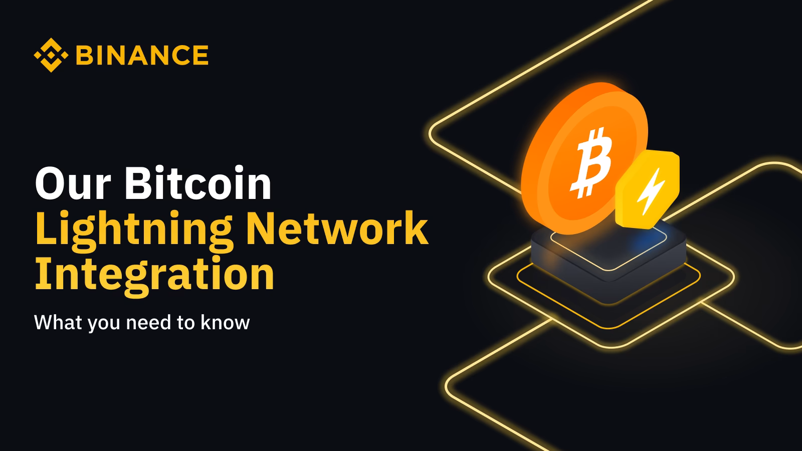 How to track a BTC Lightning transaction?