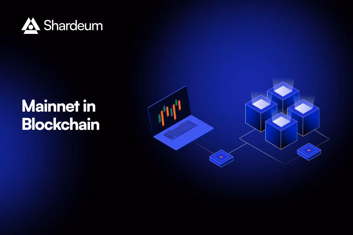 What is a mainnet wallet?