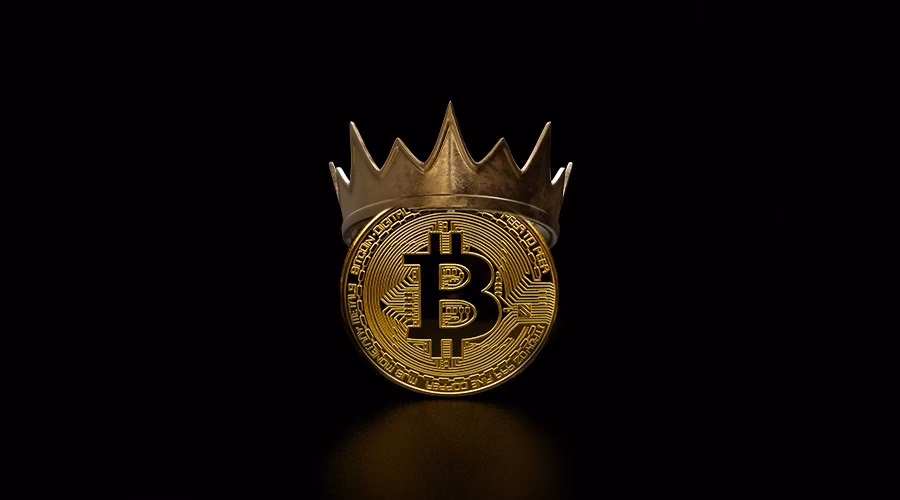 Who are the bitcoin maximalist people?