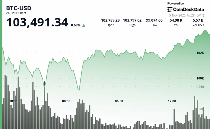 Is CryptoCompare down?