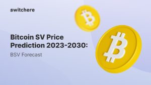Does Bitcoin SV have a future?