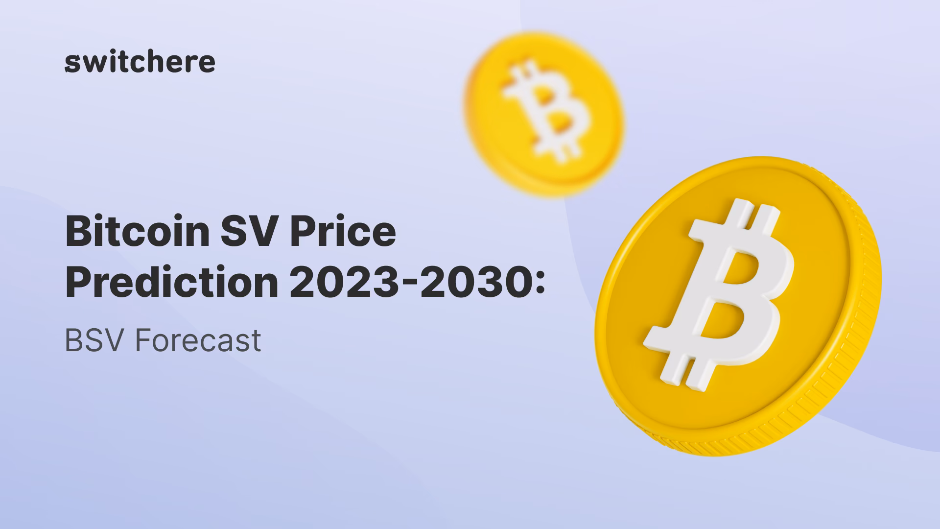 Does Bitcoin SV have a future?