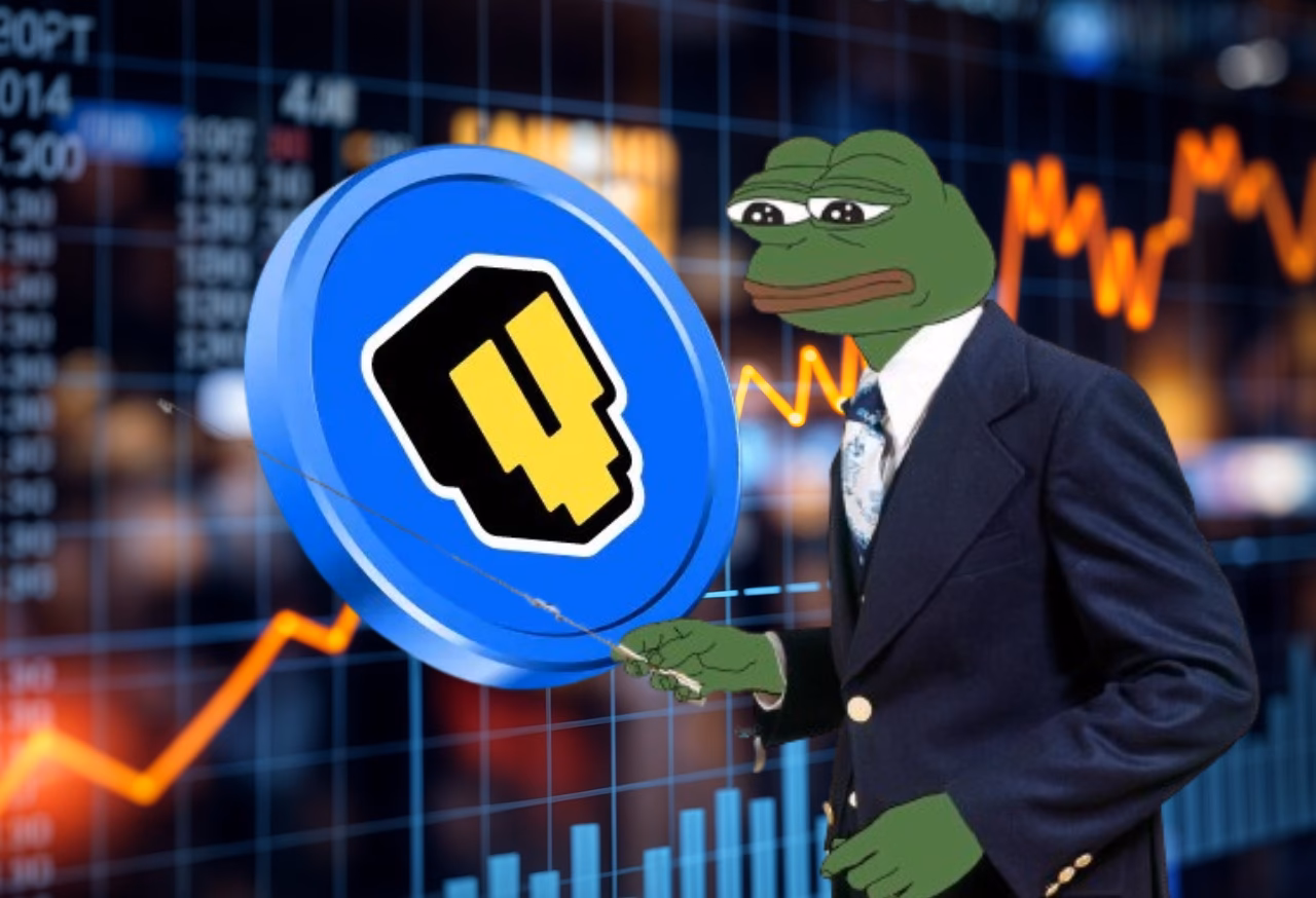 What is a VOXEL coin?