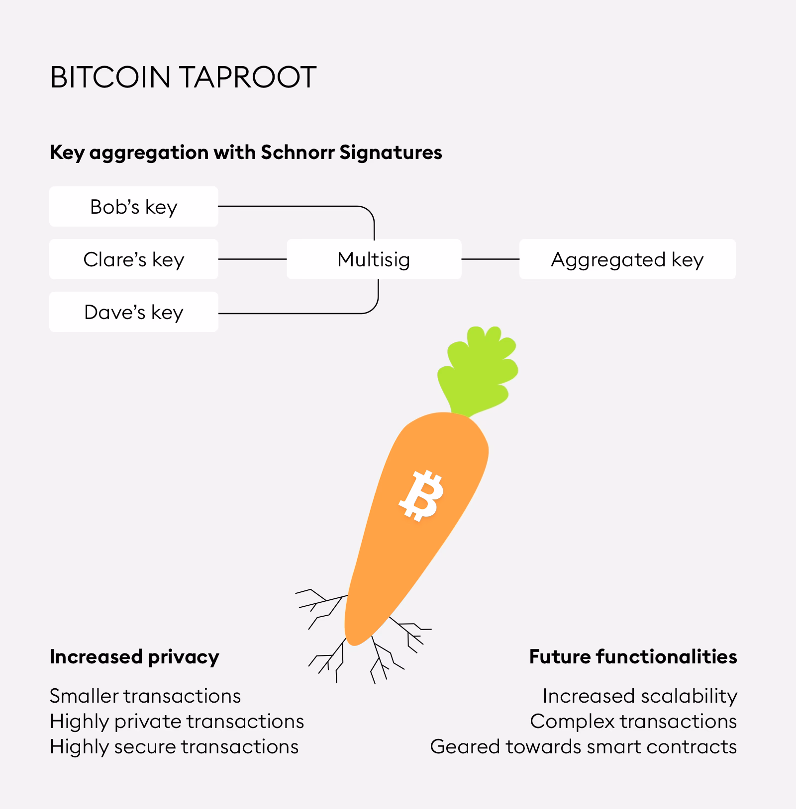 What is a Bitcoin taproot?