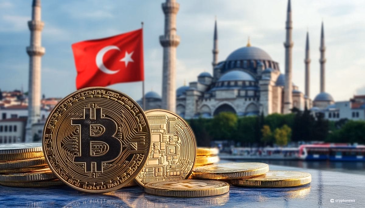 Bitcoin nedir türkçe?