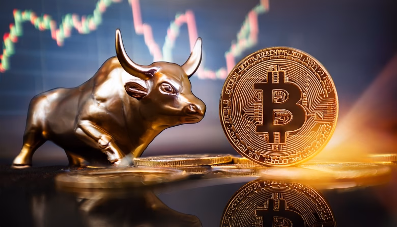 What is the Bitcoin bull market?