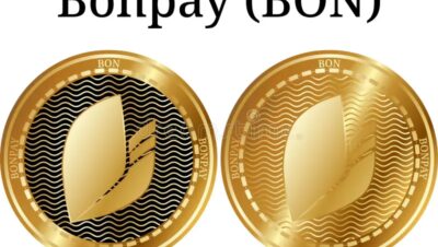 Is bonk coin a good investment?