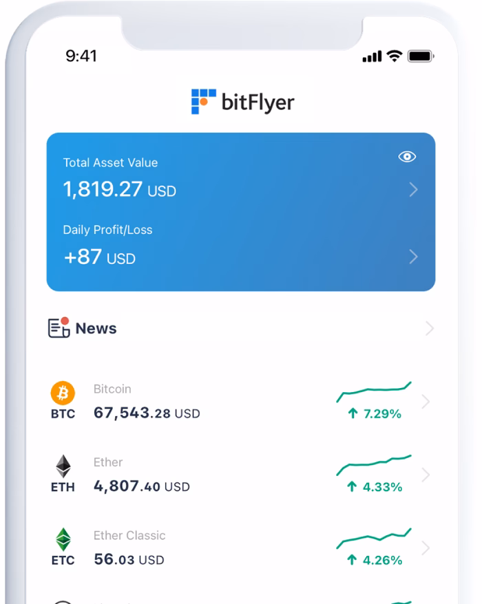 What are the disadvantages of using bitFlyer?
