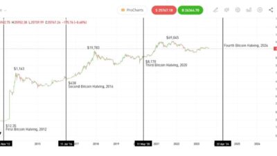 ¿Cuál es la proyección de etoro?