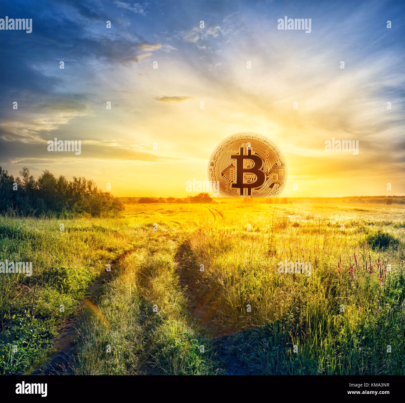 Is sumcoin real?