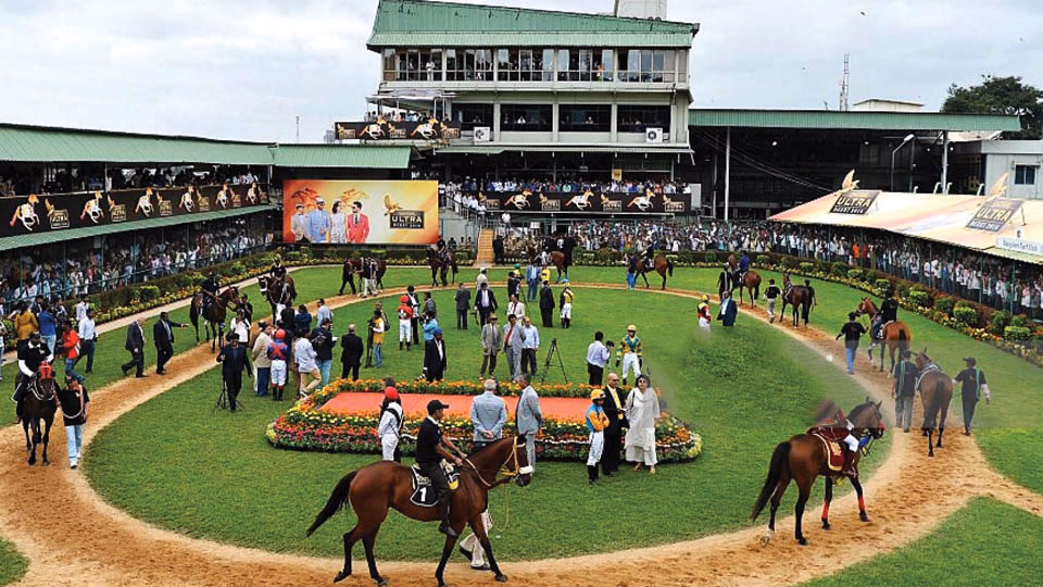 Why is American horse racing on dirt?