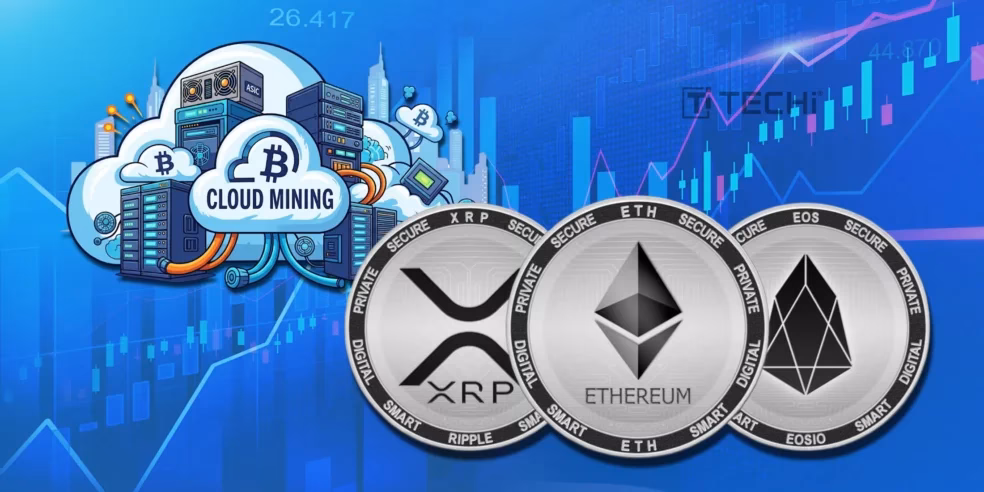 What is the 3X short XRP token?