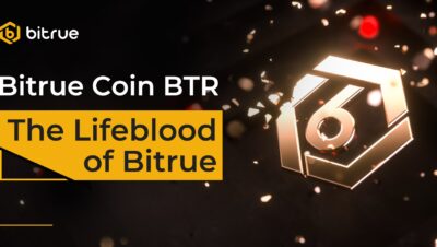 What is Elon Musk's official crypto coin?