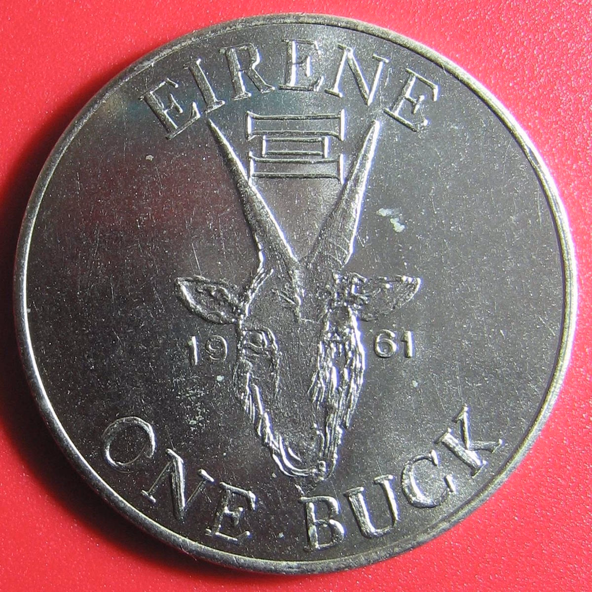 What is buck crypto?