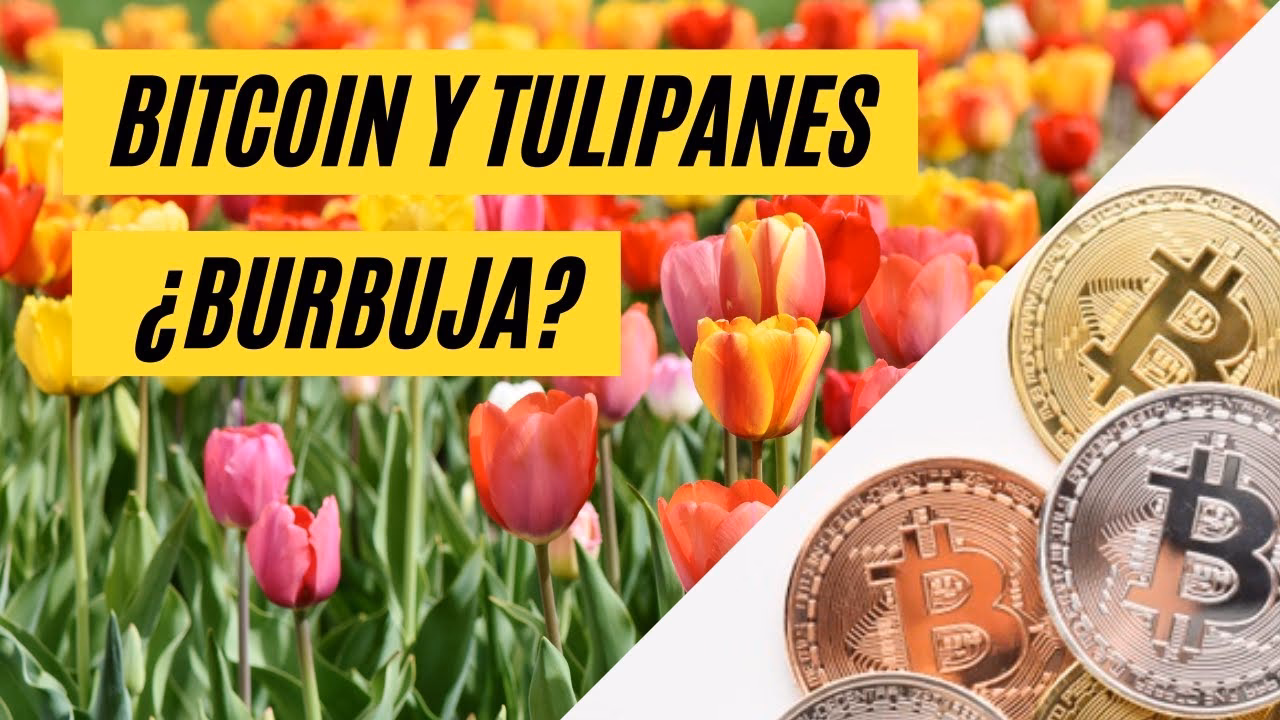 ¿Qué fue la burbuja del tulipán?