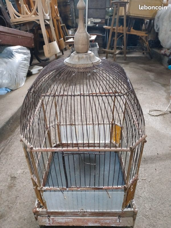 Est-ce que les oiseaux en cage sont heureux ?