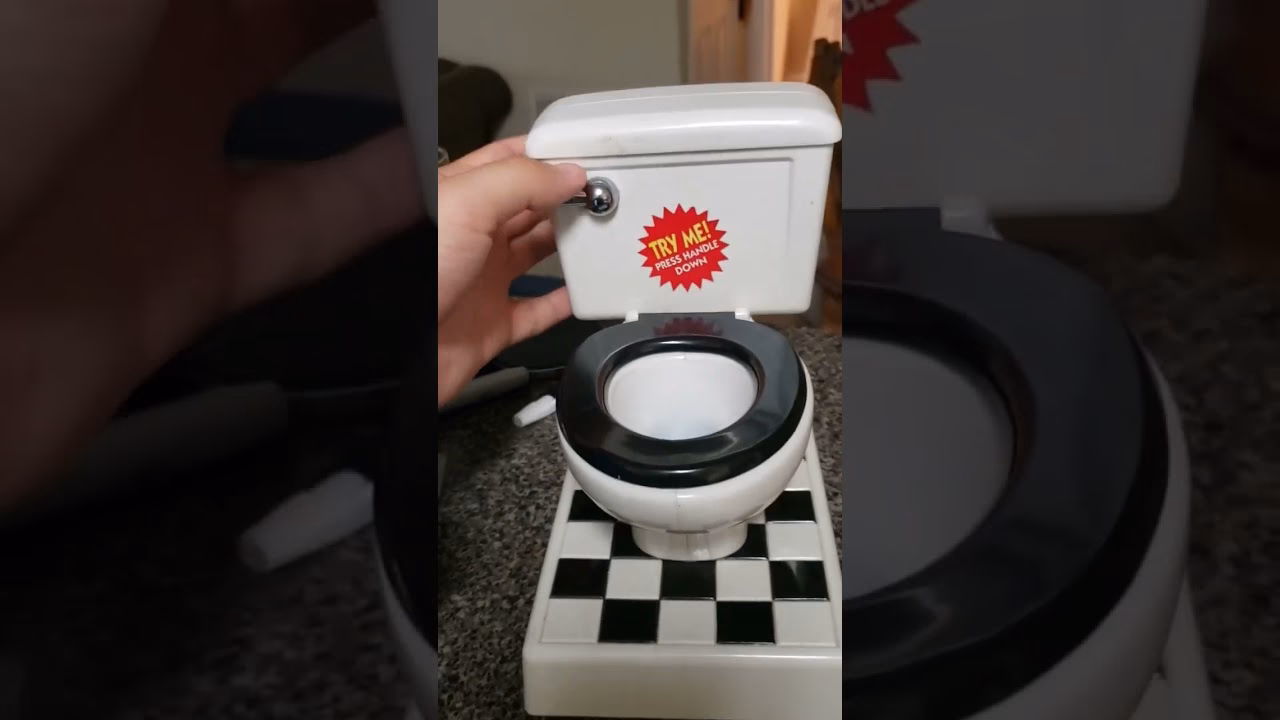 What are two things you should never flush down a toilet?