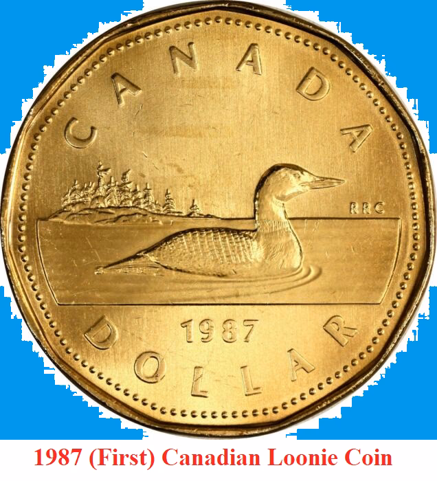 What is $1 Canadian worth in the US?