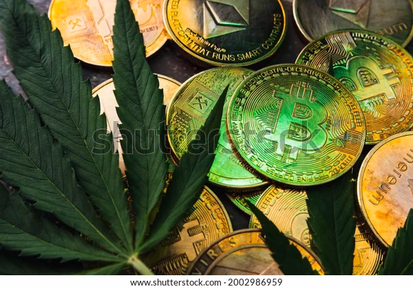 ¿Cuánto es un coin?