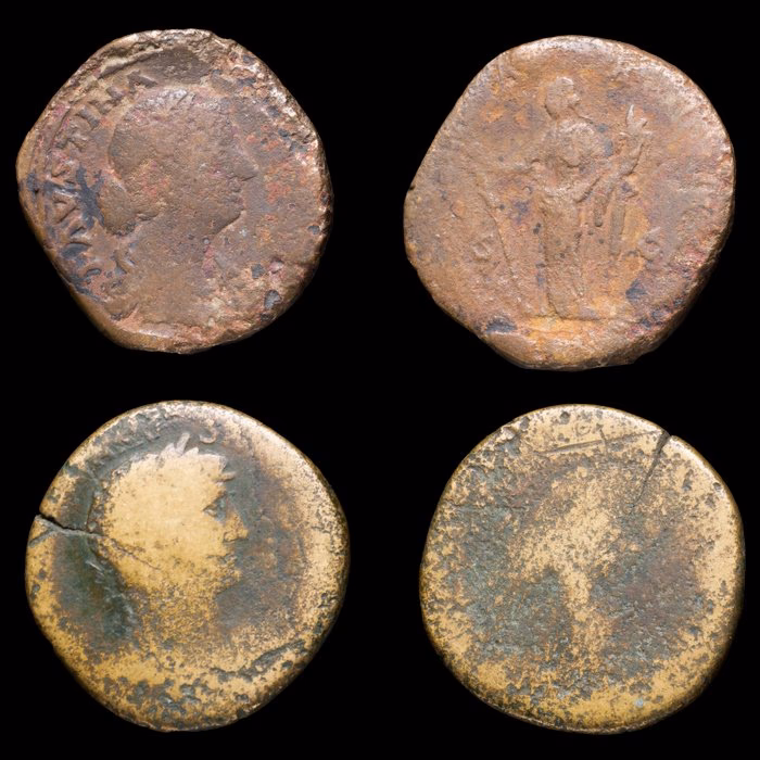 What is the history of the stagira?