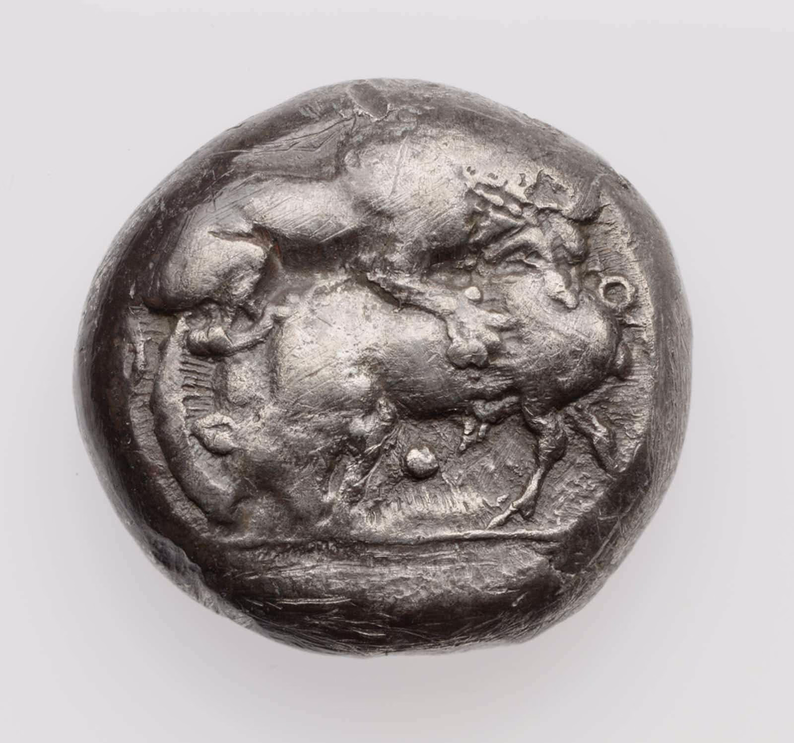 What is the history of the stagira?