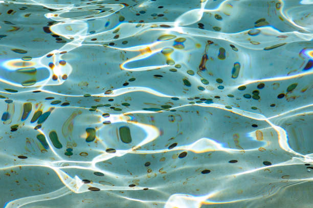 Can you still throw coins in the Trevi Fountain in 2025?