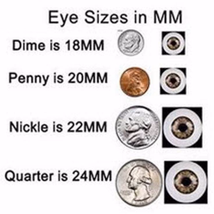 What is the measurement of a coin?