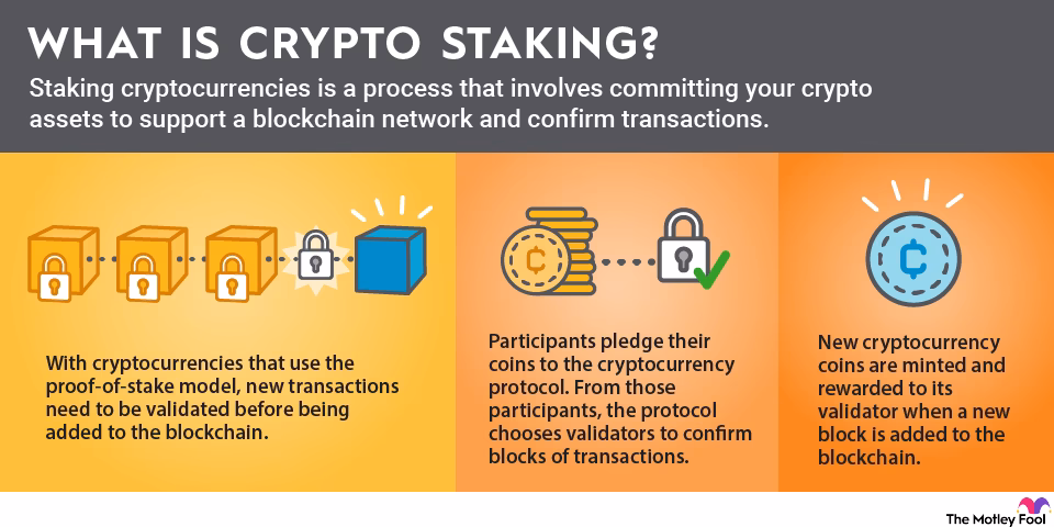 Which crypto staking is best?